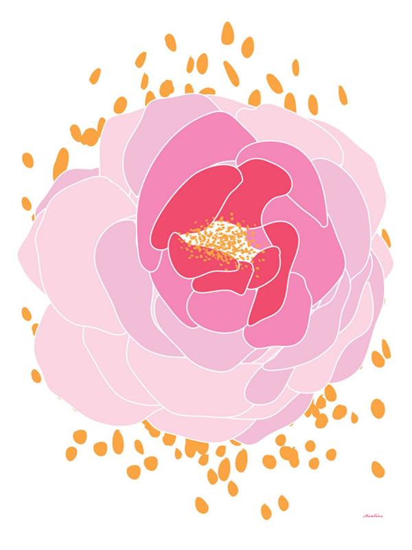 2011 Pink Peony